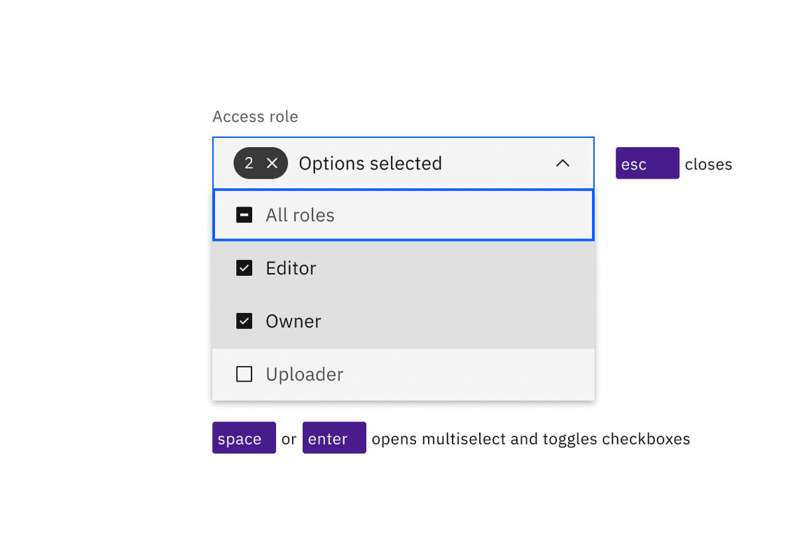 Space and Enter keys open multiselects and toggle the selection of checkbox options. Esc closes.